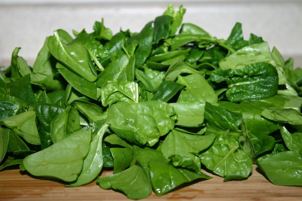 How To Plant Cool Weather Plants How To Grow Spinach?